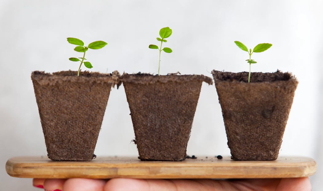 Produits naturels et locaux TechDétente